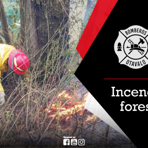 Indendio forestal San Juan Alto