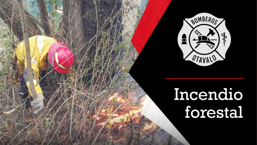 Indendio forestal San Juan Alto