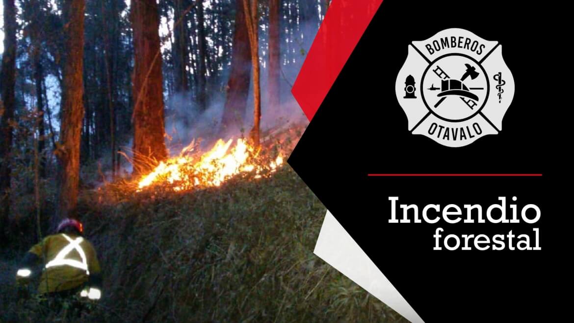 Incendio Forestal Loma San Vicente
