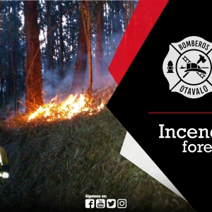 Incendio Forestal Loma San Vicente