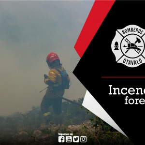 Incendio Forestal vía Selva Alegre