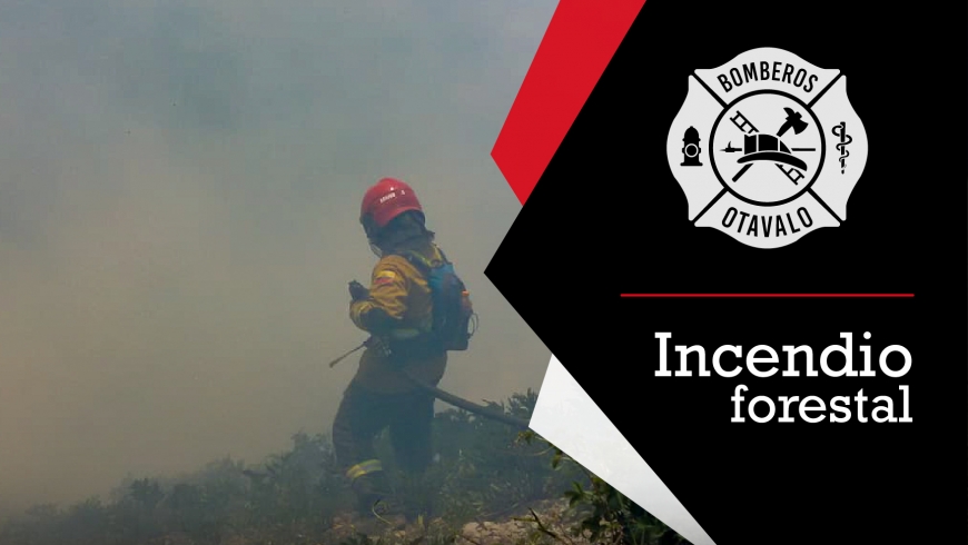 Incendio Forestal vía Selva Alegre