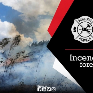 Incendio Forestal Gualsaquí