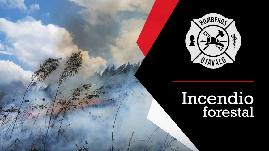 Incendio Forestal Gualsaquí